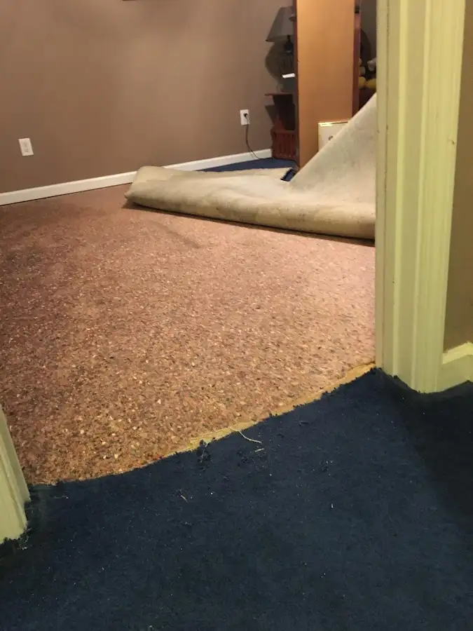Carpet pad removal revealing water damage during Water Mitigation Services in Litchfield