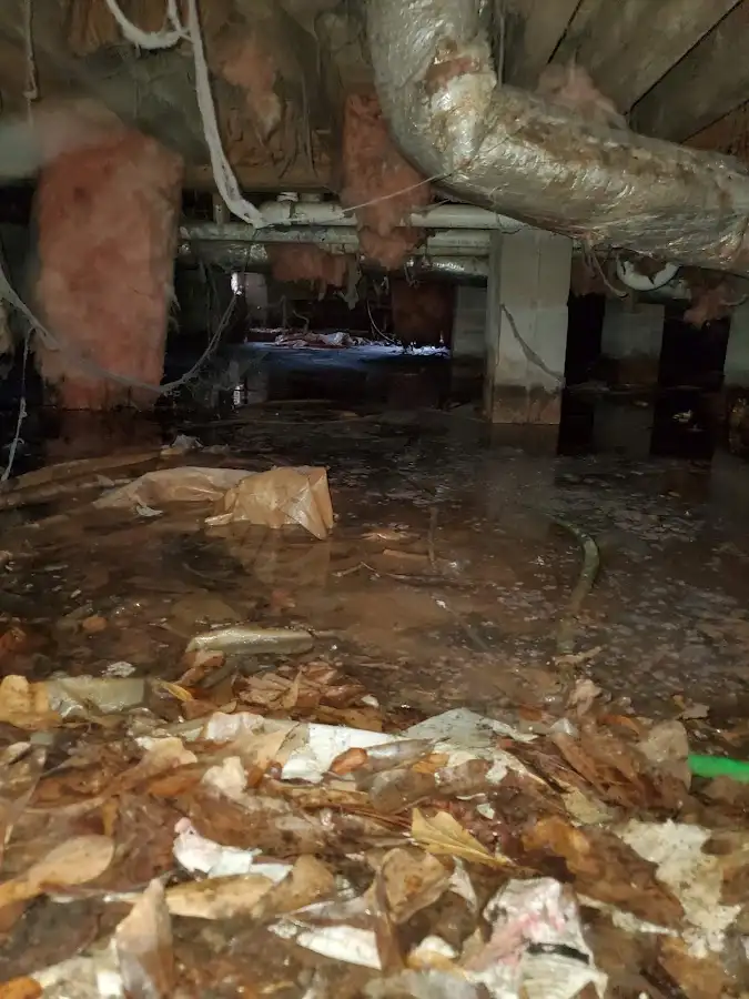 Crawl space flood assessment for Leak Detection & Repair in Litchfield